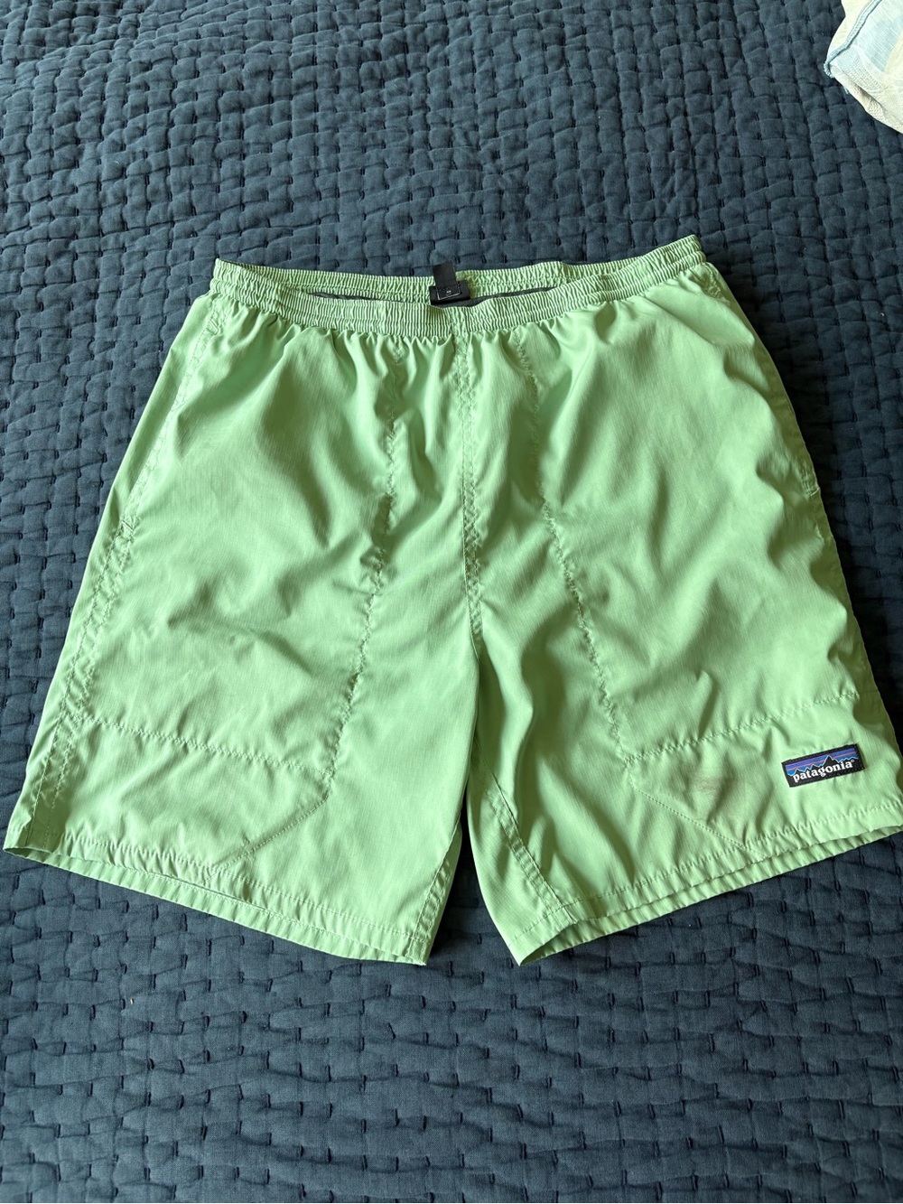 Patagonia Baggies Light Green Men's Shorts